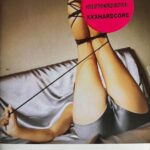 The Circle by N.T. Morley